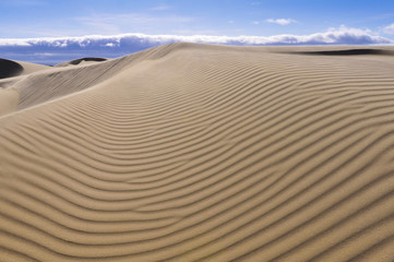 Oceano Dunes Natural Preserve, California (USA)