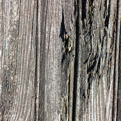 wood background