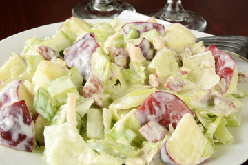 Waldorf salad closeup