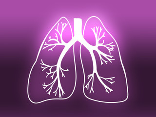 Lung Biology Organ Medicine Study pink