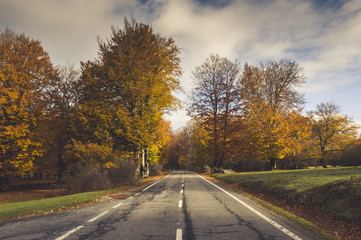 Rural road in the forest in autumn