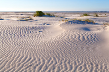 Fototapeta na wymiar sand pattern on coastal dune