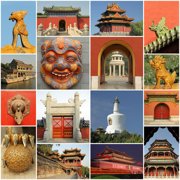 pekingese collage