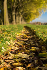 The Walls of Ferrara during autumn with fallen leaves on the gro