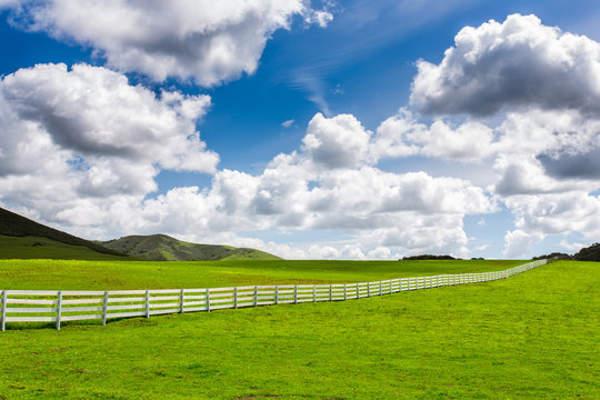Green Pasture With White Fence