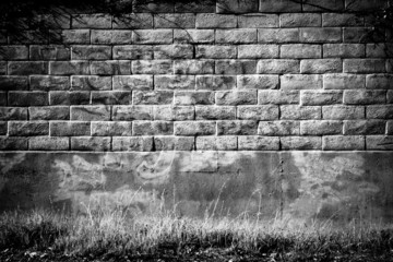 Distressed Brick Wall in Black and White