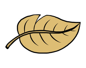 dry leaf