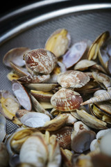 Clams