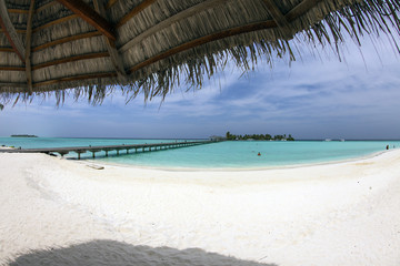 Fototapeta na wymiar Maldive, sotto l'ombrellone