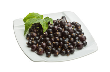 Black currant