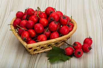 Hawthorn