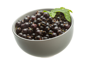 Black currant