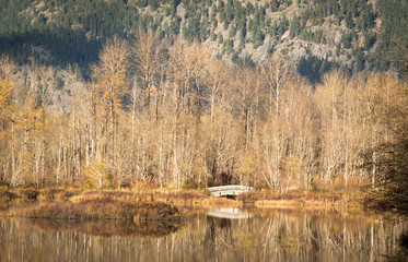 bridge reflection in canadian fall