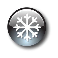 Snowflake artistic sign icon