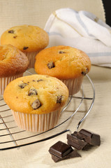 muffin pépites chocolat