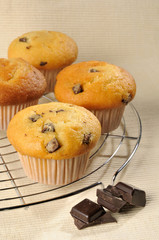 muffin pépites chocolat