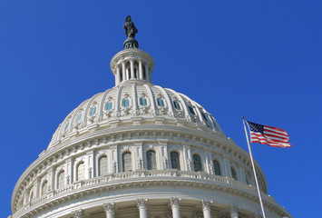 Capitol Building in Washington DC USA