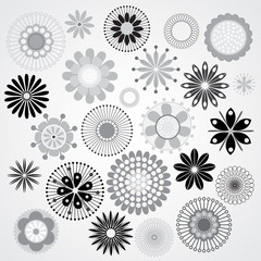 Black and white flowers