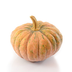 Vegetable against cancer. Pumpkin