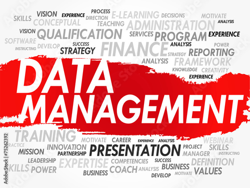 what is data management in simple words