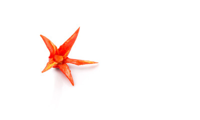 Carved red chili peppers flower over white background 