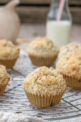 Chocolate chip muffins with coconut streusel