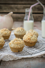 Chocolate chip muffins with coconut streusel