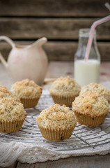 Chocolate chip muffins with coconut streusel