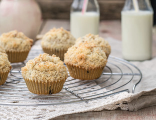 Chocolate chip muffins with coconut streusel