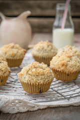 Chocolate chip muffins with coconut streusel