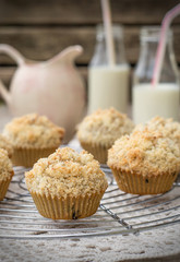 Chocolate chip muffins with coconut streusel