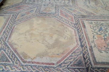 Roman mosaics