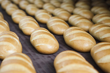 Bread