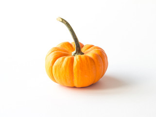Orange pumpkin