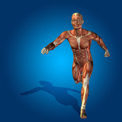 Fototapeta na wymiar Conceptual 3D human man health anatomy