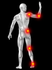 3D human man anatomy with articular pain
