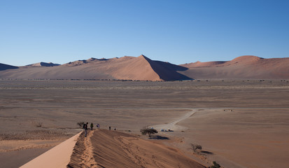 Fototapeta na wymiar Deserto del namib duna 45