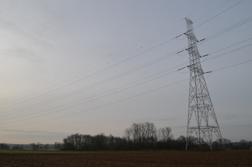 electricity pole in field