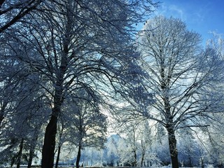 verschneite Landschaft