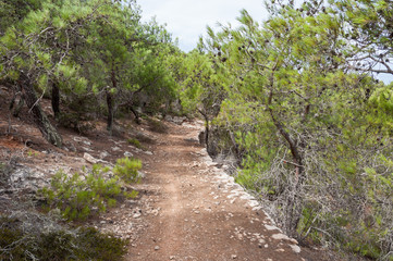 Hiking trail on Gavdos. Footpath to lighthouse at the west coast