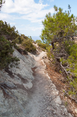 Fototapeta na wymiar Hiking trail on Gavdos, Greece. Footpath down to Patamos beach
