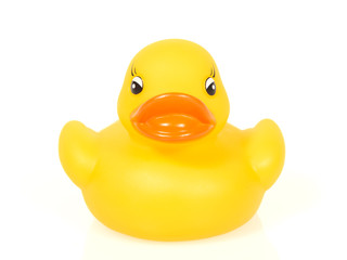 Yellow rubber duck