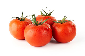 Tomato