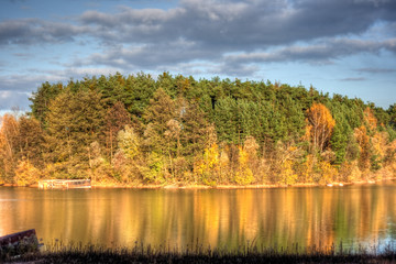 Waldspiegelung
