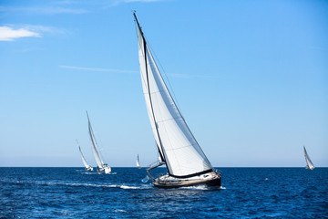 Group of sail yachts in regatta in open the Sea.