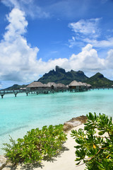 Bora Bora Overwater Bungalows