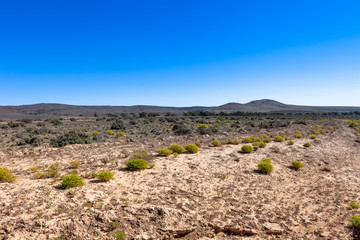 Outback stony desert in Australia.