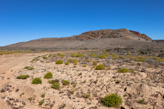 The outback stony desert in Australia.