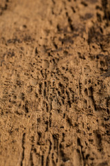wooden background
