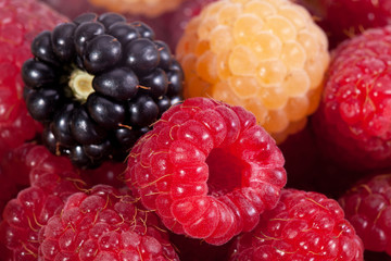 background of group of colorful raspberries macro